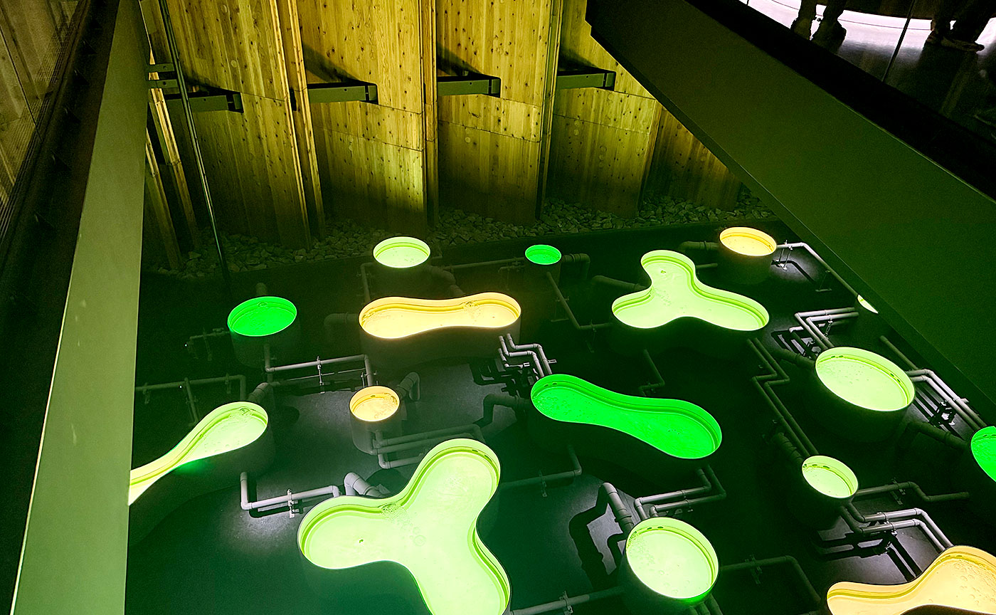 tokyo1970万博体験記 ㉗日本館