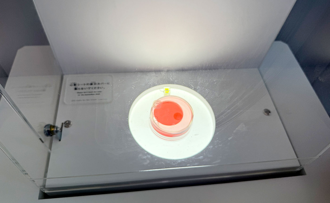 みゃくみゃくとつなぐ展 ～万博とひらく未来～