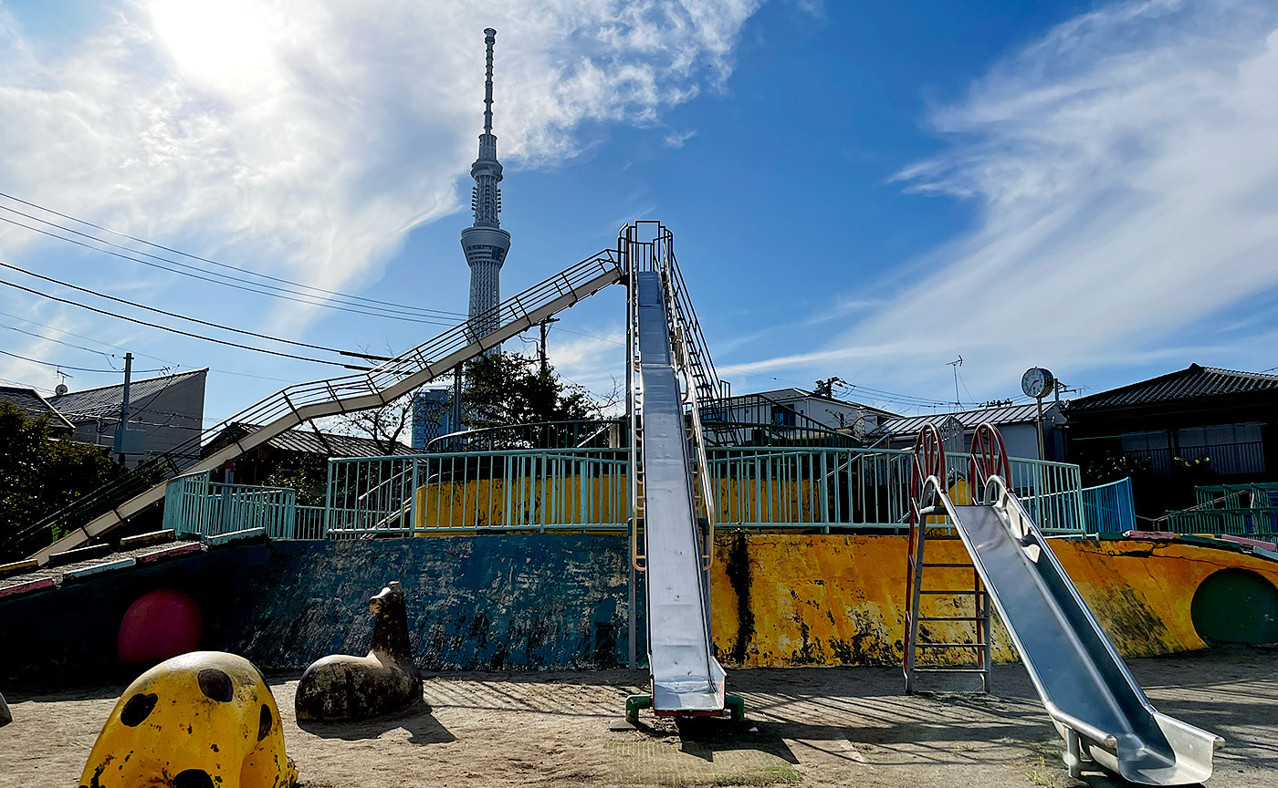 A Thrilling Playground Paradise