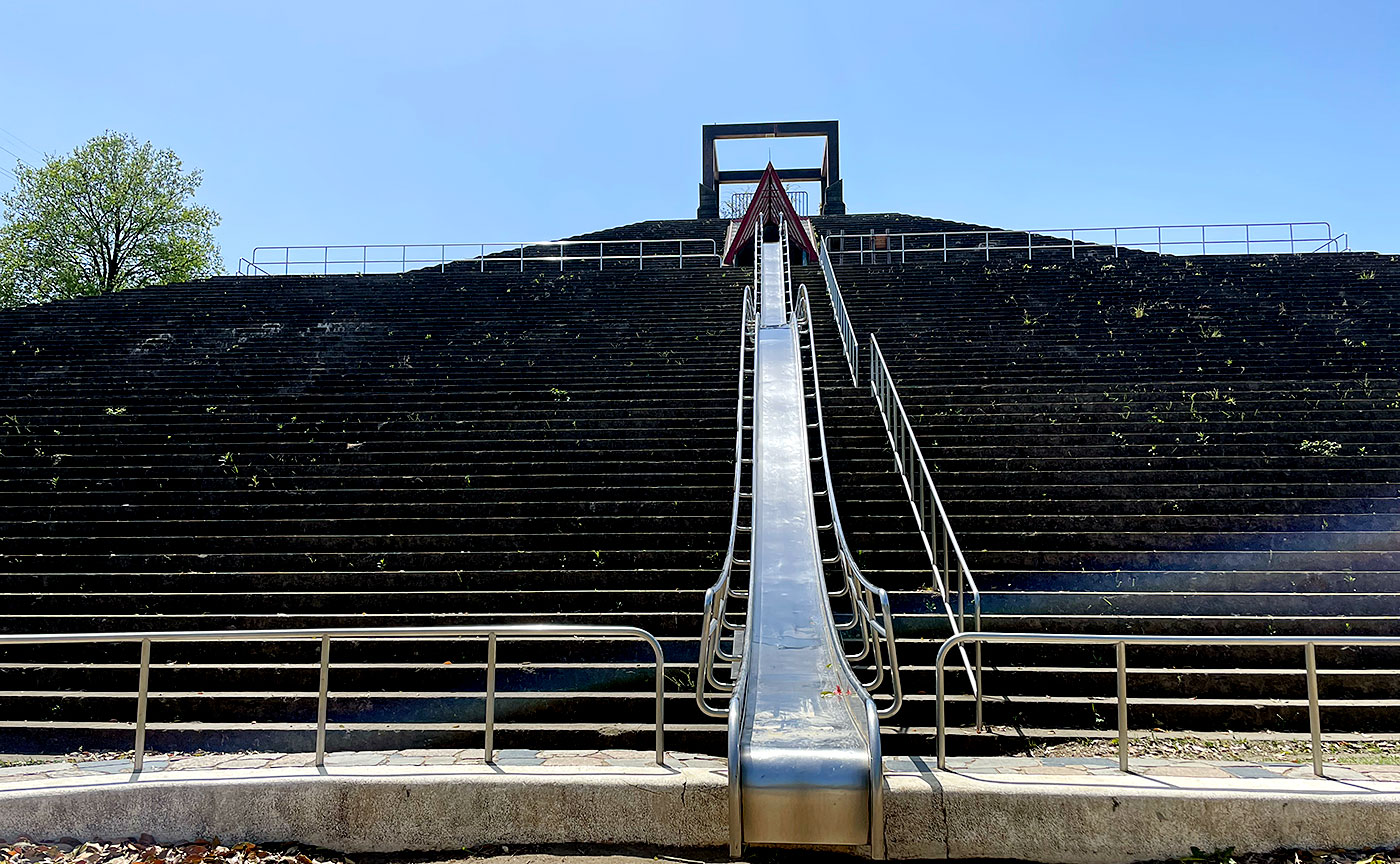 A Garden of Dreams and Adventure